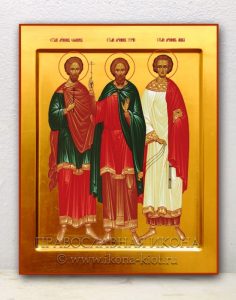 Икона «Гурий, Самон и Авив, мученики» Черноголовка
